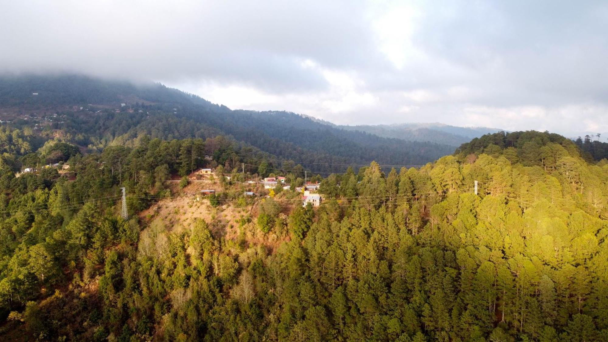 San Jose Del Pacifico- Cabanas Camino Al Cielo 2 Εξωτερικό φωτογραφία